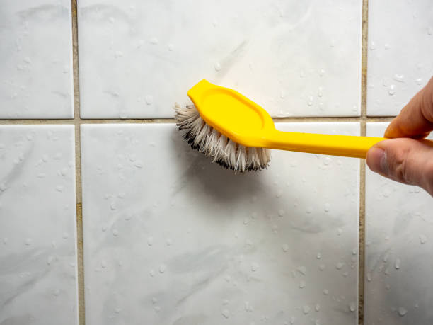 Best Mold Removal Near Me  in Strawberry, CA