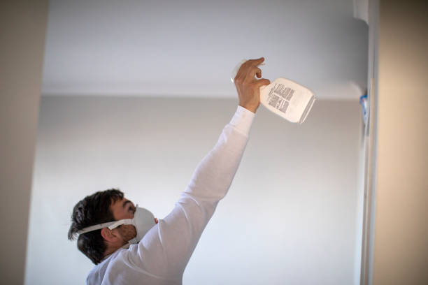 Best Best Mold Removal Companies  in Strawberry, CA