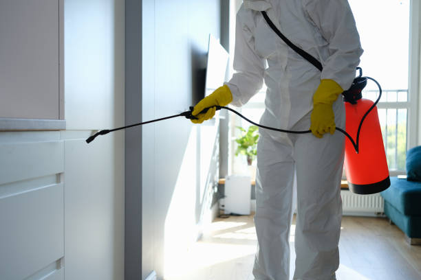 Best Black Mold Removal  in Strawberry, CA