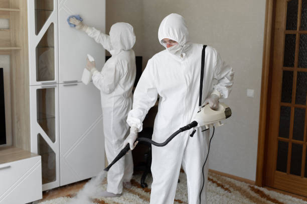 Mold Removal and Inspection in Strawberry, CA