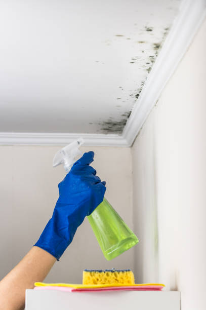Best Crawl Space Mold Removal  in Strawberry, CA