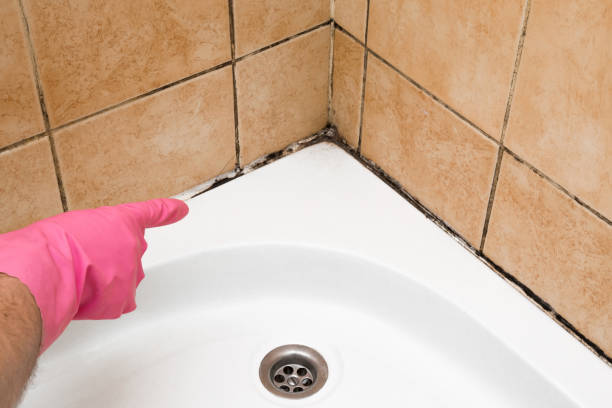 Best Mold Testing  in Strawberry, CA